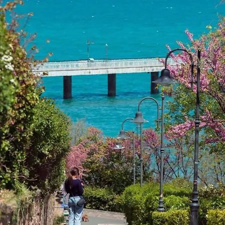 Lazzuro 7 * 布尔加斯