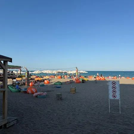 Lazzuro 7 布尔加斯